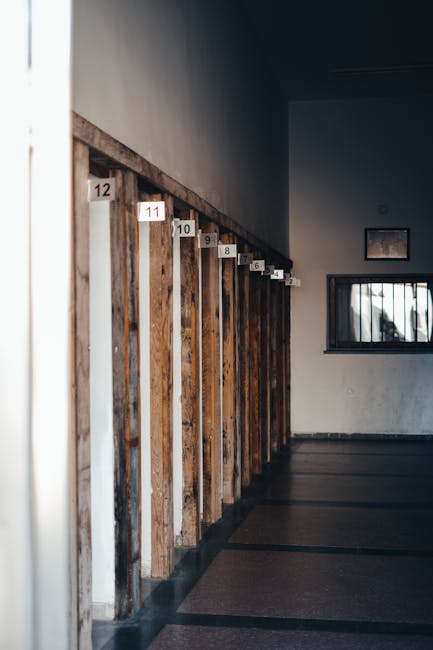 Cinematic Landscape Banner