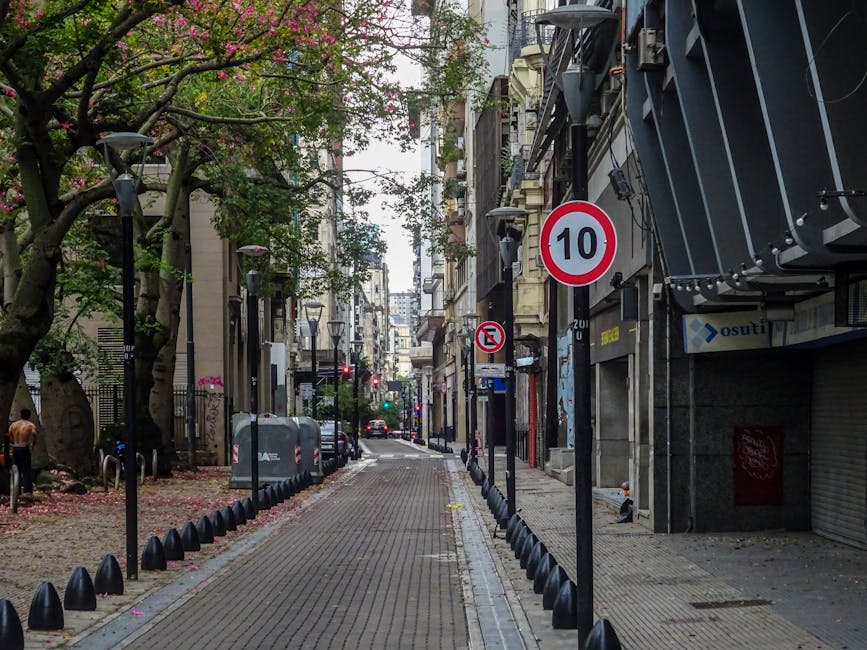 Professional Movie Review Display