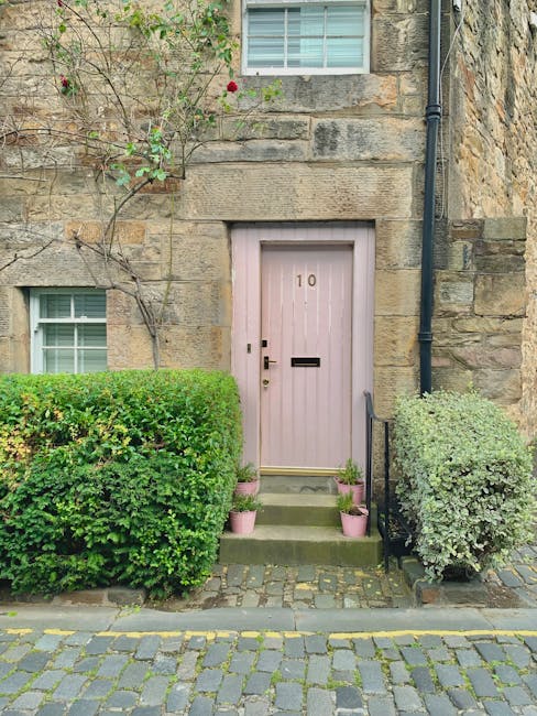 New Release Promotional Art